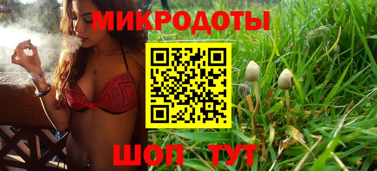 Псилоцибиновые грибы GOLDEN TEACHER Свободный