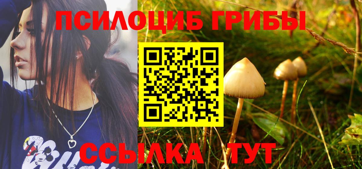 Псилоцибиновые грибы Psilocybine cubensis  Вход с VPN  Свободный 