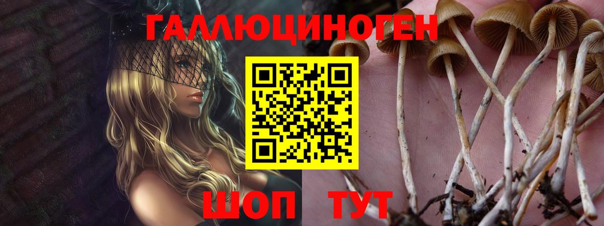 Свободный  Бошки Шишки  Вход с VPN  ГАШИШ  Меф МЯУ МЯУ  